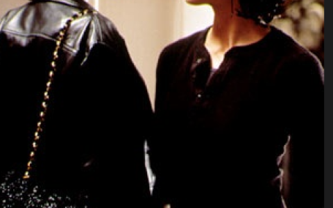 惊世狂花(美国1996年安迪·沃卓斯基、拉娜·沃卓斯基联合执导的电影)