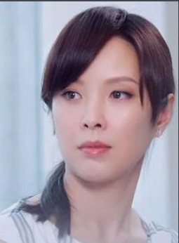 我的完美男人(2011年王传宗执导的电视剧)