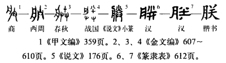 朕(汉语汉字)