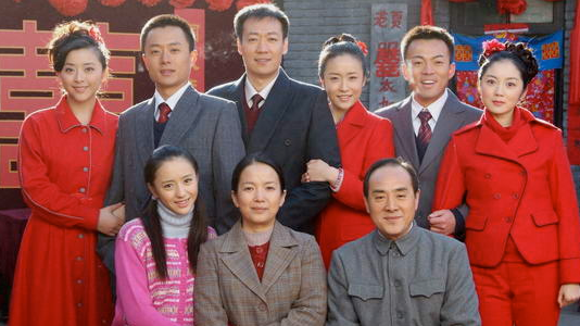 人活一张脸(2009年吕丽萍主演电视剧)