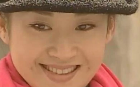 长缨在手(2000年由刘家成执导的电视剧)