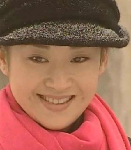 长缨在手(2000年由刘家成执导的电视剧)