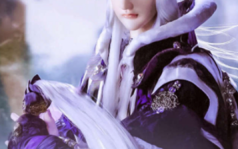 霹雳天启(2009年王嘉祥执导电视剧)