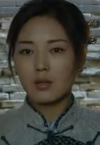 关中女人(2005年陈权执导电视剧)