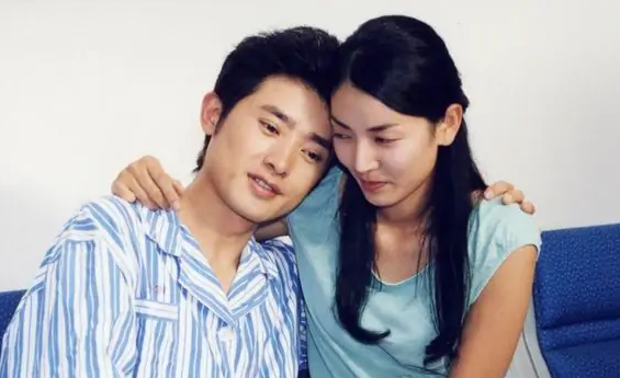 就像美丽蝴蝶飞(2004年成志成执导电视剧)