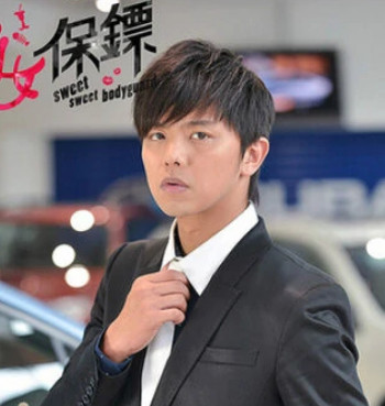 剩女保镖(2012年冯凯执导的电视剧)