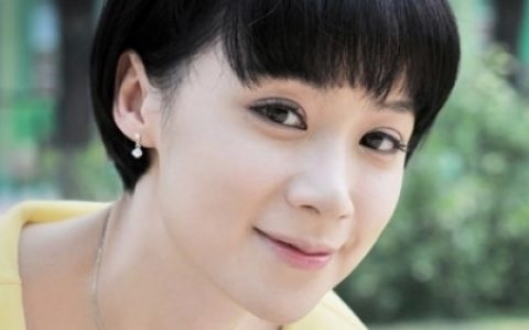 媳妇的美好宣言(2012年周小刚执导的电视剧)