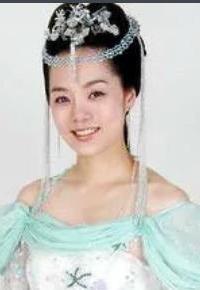 新醉打金枝(2005年陆剑民执导的电视剧)