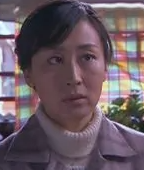 人间风雨情(2010年欧阳奋强执导的电视剧)
