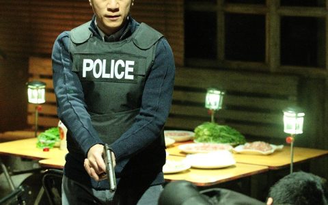 毒战(2013年杜琪峰执导的电影)