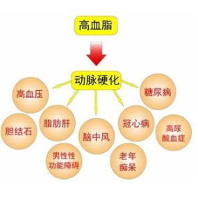 血脂高(是导致动脉粥样硬化和冠心病的主要因素)