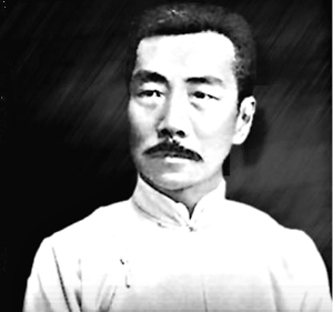 胡子(生长于男性上唇下巴等处的毛发)