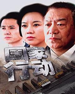 国家行动(2009年陈育新执导电视剧)