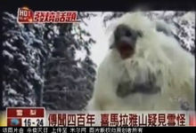 雪怪(传说中的神秘生物)