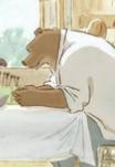 艾特熊和赛娜鼠(法国2012年斯特芬妮·奥比尔执导的动画电影)