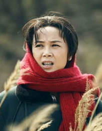 娘要嫁人(2013年乔梁执导的电视剧)