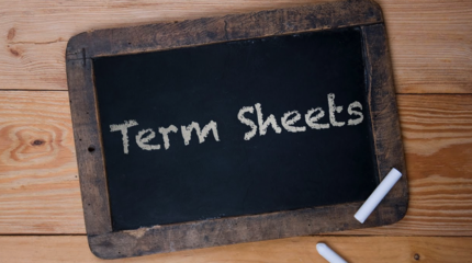 term(英语单词)