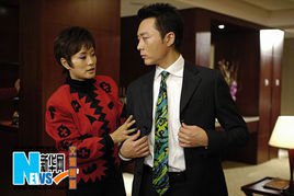 嫂子的情感时代(2011年王新民执导的电视剧)