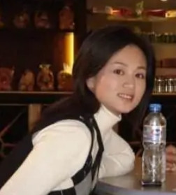 无法抗拒(2007年王小康执导的电视剧)
