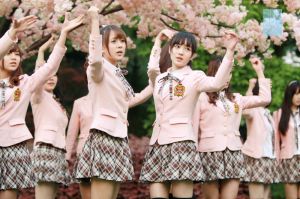 化作樱花树(SNH48演唱歌曲)