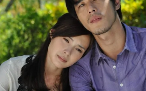 夺爱(2011年张晞临、王琳主演的电视剧)