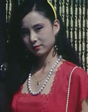 二子开店(1987年王秉林执导影片)