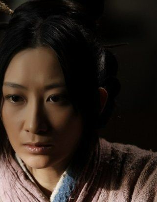 赵氏孤儿案(2013年由阎建钢执导电视剧)