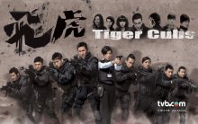飞虎(2012年林志华导演电视剧)