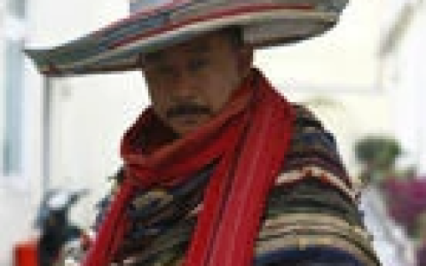 熊猫大侠(2009年王岳伦执导的电影)