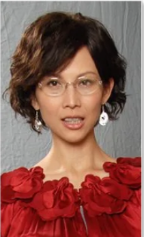 飞女正传(2010年戚其义执导的电视剧)