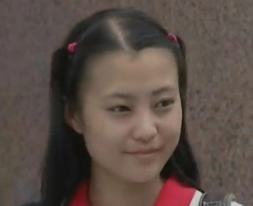 十七岁不哭(1997年王静执导的电视剧)