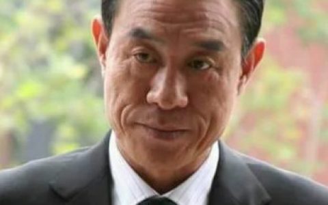 非亲父子(2008年汪涛执导的电视剧)