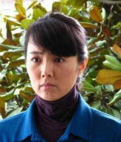 母亲的战争(2011年刘新导演电视剧)