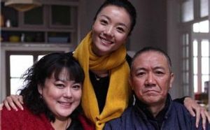 爱的保镖(2014年李妮执导的电视剧)