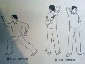 颈椎病保健体操(健身动作)