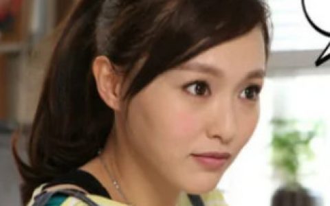 长在面包树上的女人(2015年陈铭章执导的电视剧)