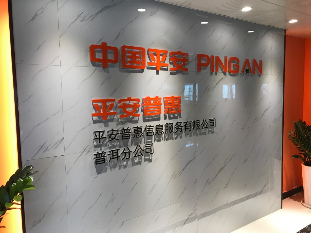 平安普惠(中国平安保险旗下公司)