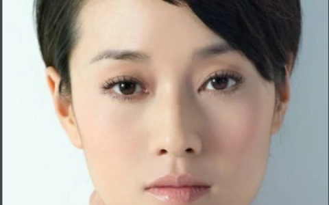 双城生活(2011年涂松岩、马伊琍主演的电视剧)