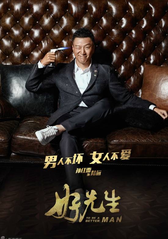 好先生(2016年张晓波执导的电视剧)