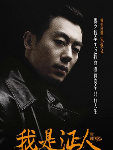 我是证人(2015年安尚勋执导的电影)
