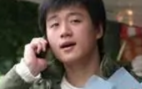 我们无处安放的青春(2008年沈严执导的电视剧)