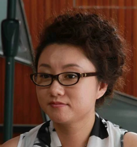 美丽谎言(2014年金韬执导的电视剧)