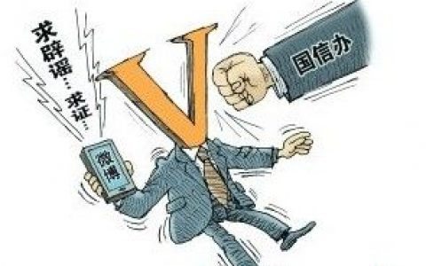 大v(身份获认证的微博意见领袖)