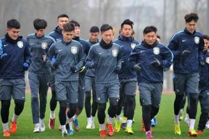 江苏苏宁足球俱乐部(中国江苏省的职业足球俱乐部)