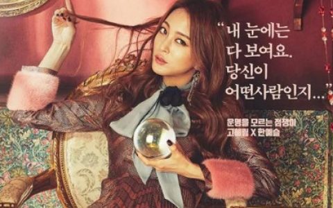 安托万夫人(韩国2016年金允哲执导的电视剧)