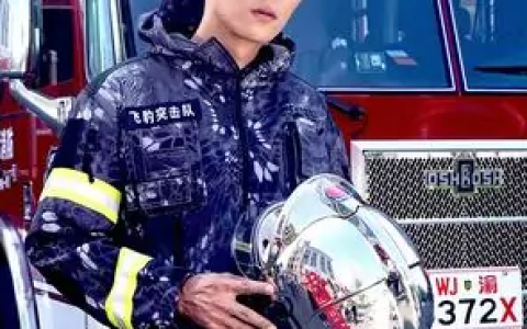 特勤精英(2017年徐宗政执导的电视剧)