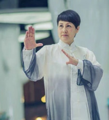 功夫婆媳(2015年侯明杰执导电视剧)