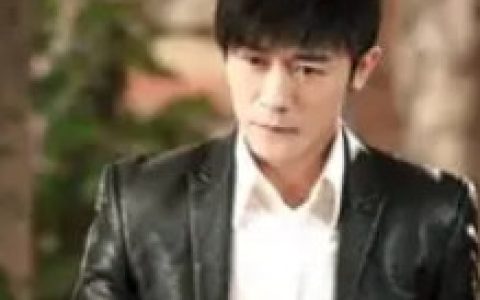 卧底归来(2017年刘光执导的电视剧)