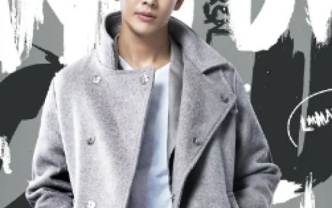 逆袭之星途璀璨(2017年杨磊执导电视剧)