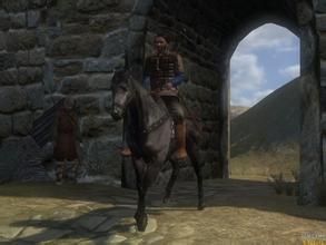 骑马与砍杀战团(RPG类游戏)